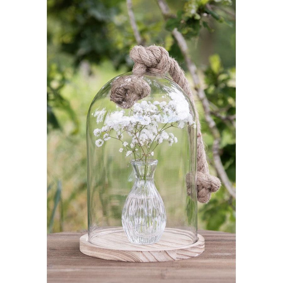 Glass Bell Jar-Breda's Gift Shop