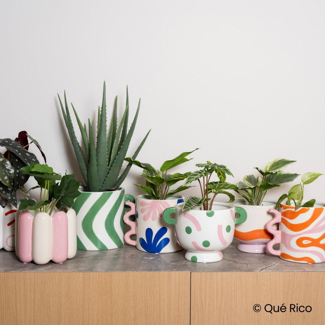 Que Rico Plant Pot: Luca, Flujo Fluido-Breda's Gift Shop