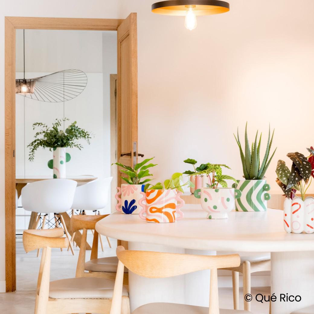 Que Rico Pot Plant: Felipe, Baila Bella-Breda's Gift Shop